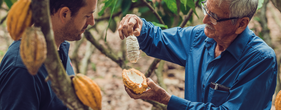 A growers and Guy Deberdt in one of 4 integrated cocoa programs of Kaoka