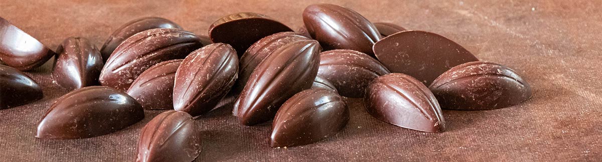 Chocolat bio équitable pour professionnel