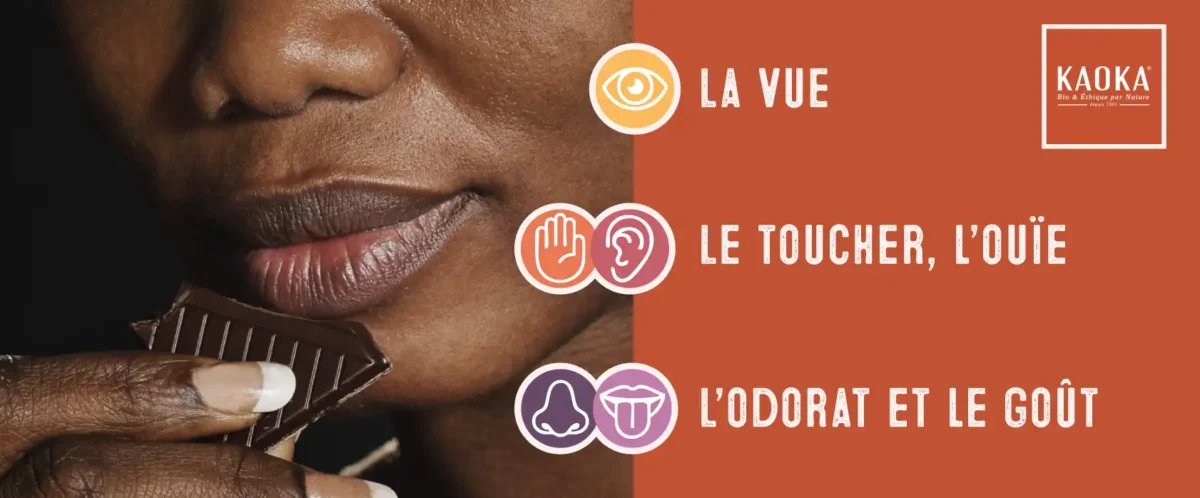 Une dégustation du chocolat à l'aide des 5 sens, guide Kaoka