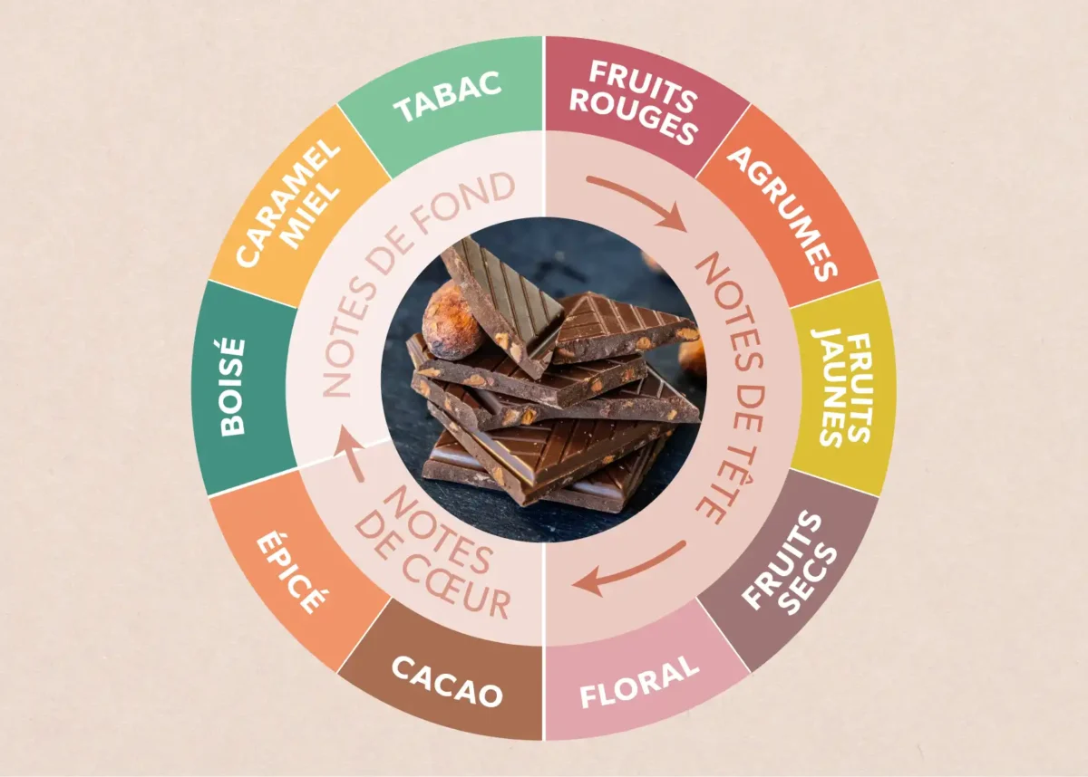Roue aromatique des chocolats Kaoka