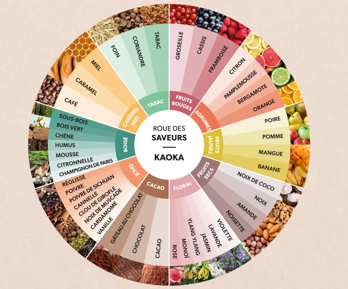 Roue des saveurs aromatiques des chocolats Kaoka