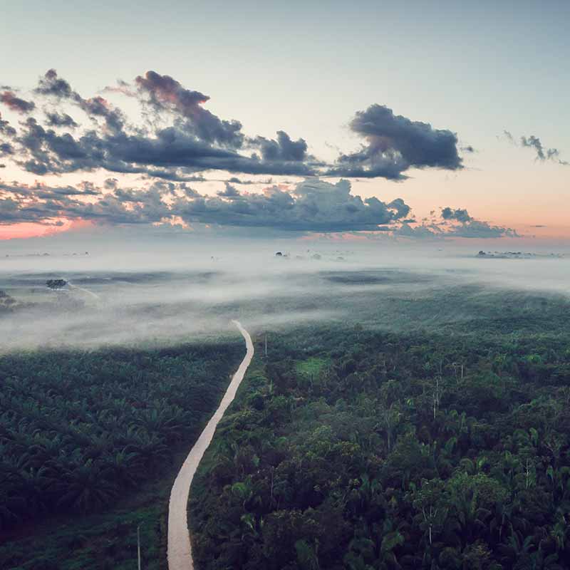 Article : SEQUA, projet de développement durable du cacao aromatique