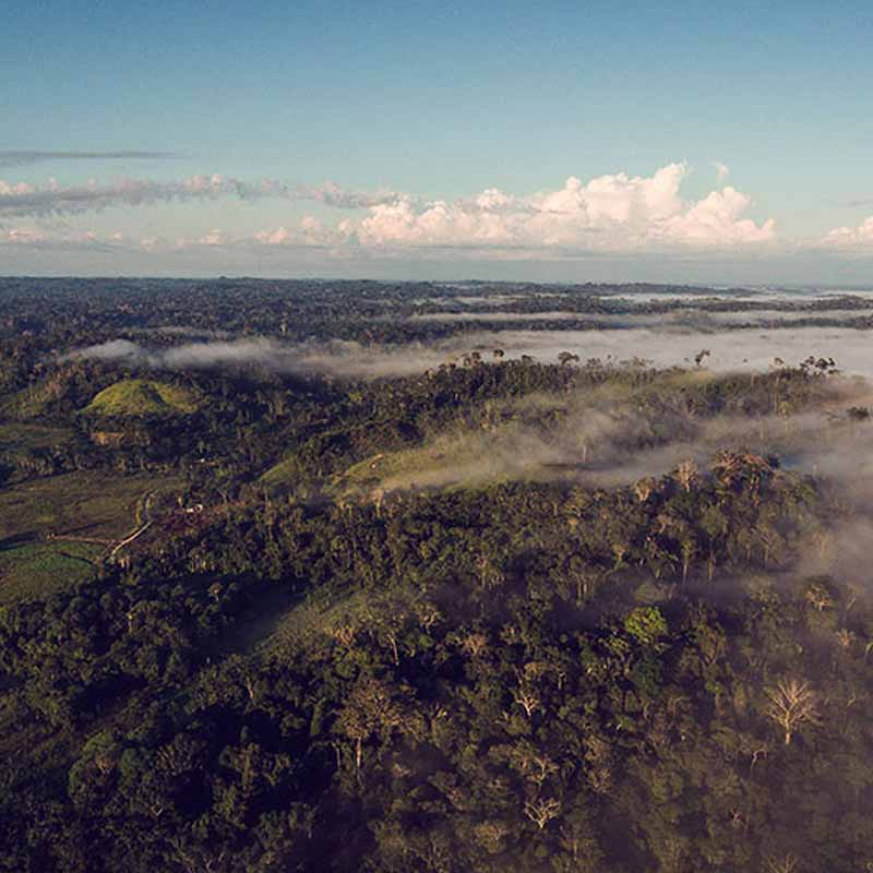 Article : 8 millions d'euros pour un cacao d'excellence durable et zéro déforestation