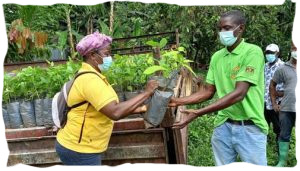 Actualité : Premiers dons de plants de cacao aux producteurs de Sao Tome