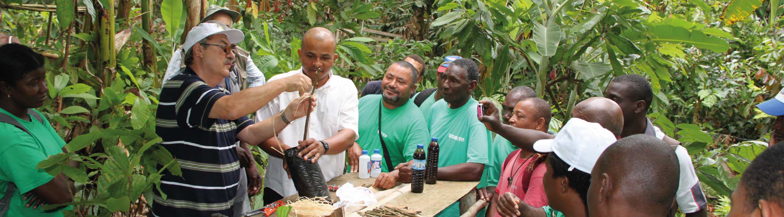 andre-deberdt-dans-plantation-en-recherche-agronomique-avec-les-producteurs