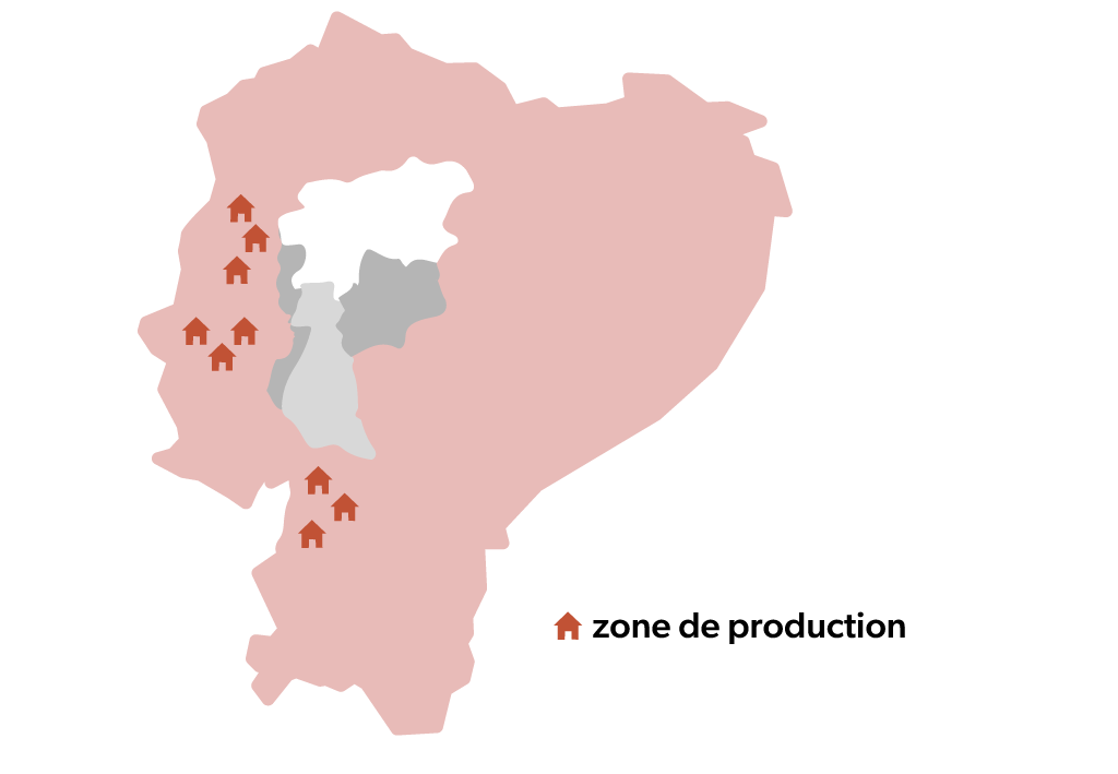 Zone de production du cacao en Équateur