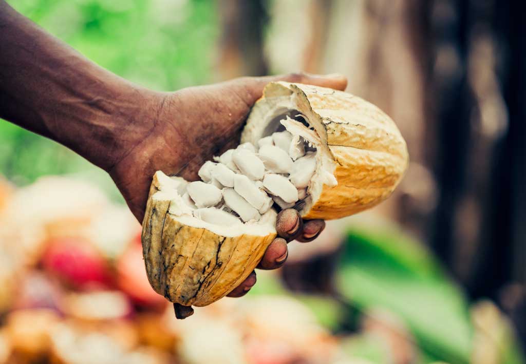 Chocolat noir à 66% de cacao pure origine Sao Tome