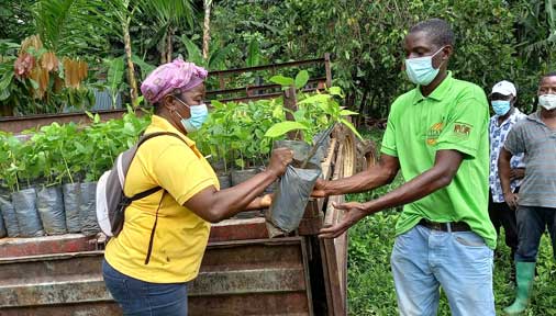 Actualité : Premiers dons de plants de cacao aux producteurs de Sao Tome