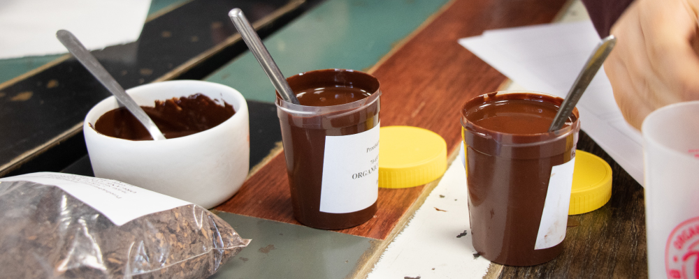 Degustation de pots de pâtes de cacao liquides pour contrôle qualité