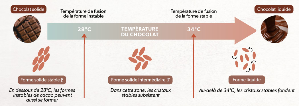 Schema de la zone de temperature favorable à la presence exclusive de la forme stable du beurre de cacao