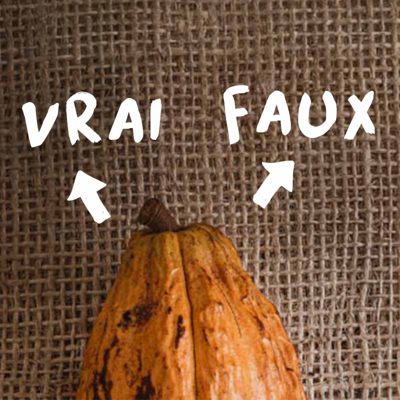 Article : 5 idées reçues sur le cacao et le chocolat bio