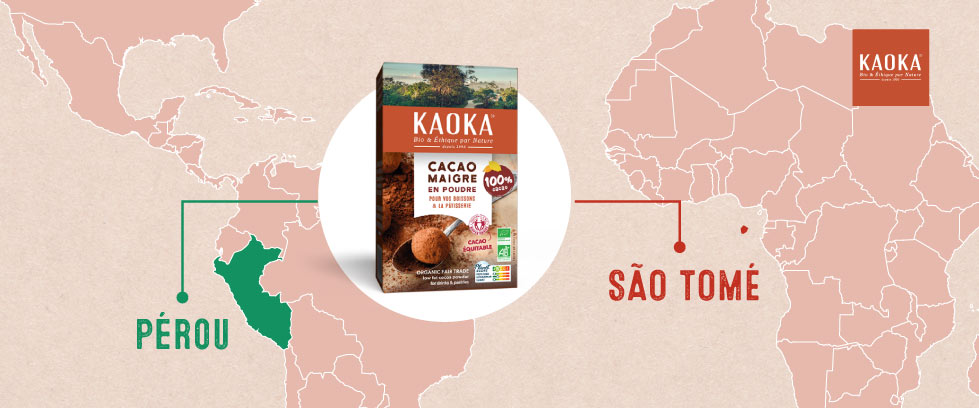 Les origines du cacao maigre en poudre Kaoka