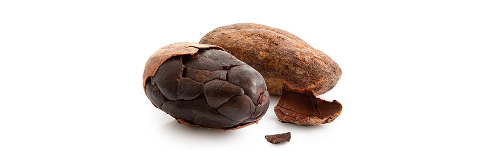 Fèves de cacao crues - Achat, bienfaits et conseils - MesÉpices.com