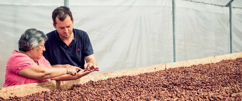 Les bienfaits de la fève de cacao 