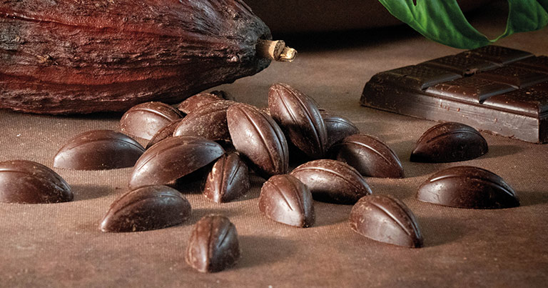 Chocolat noir de couverture Kaoka