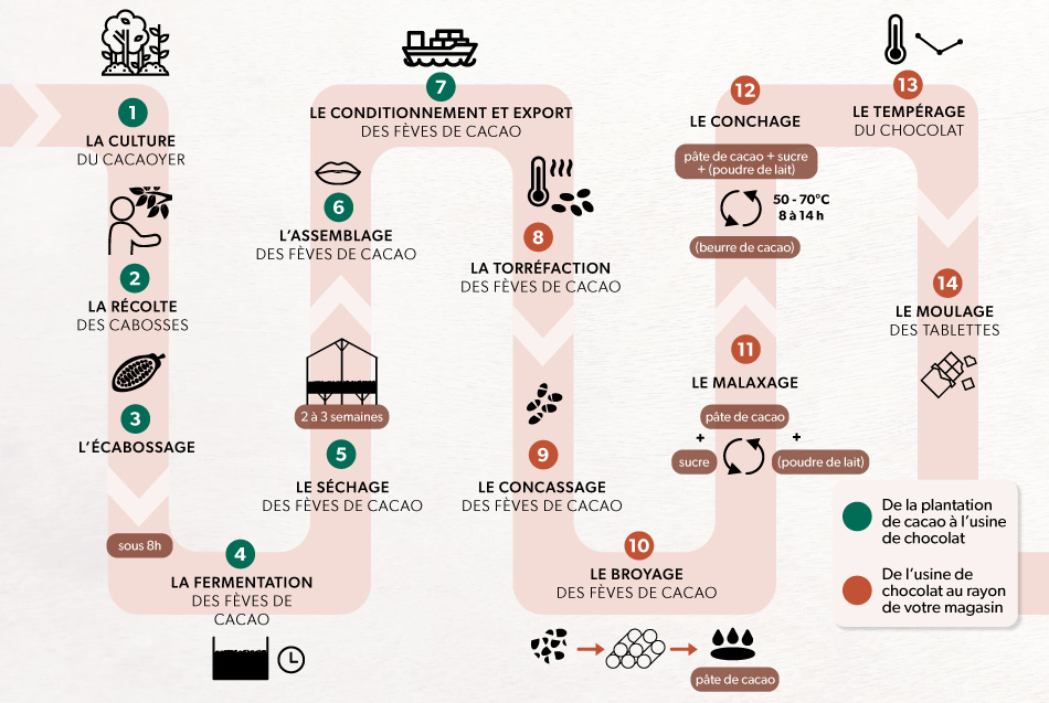 Fabrication du Chocolat : Comment est Fait le Chocolat ?