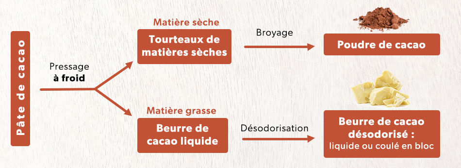 Quelle Est La Composition Du Beurre De Cacao ?