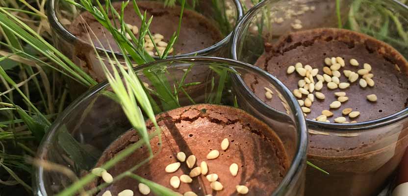 Mousse au chocolat et au sésame vegan