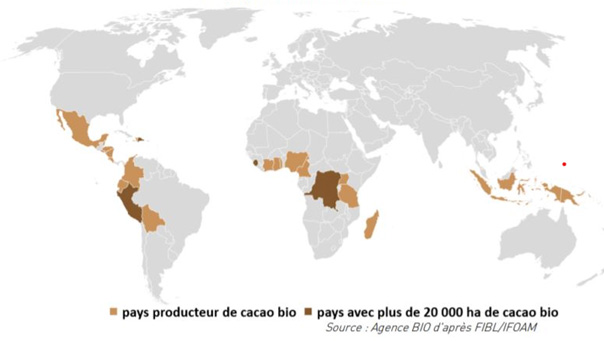 Pays producteurs de cacao bio