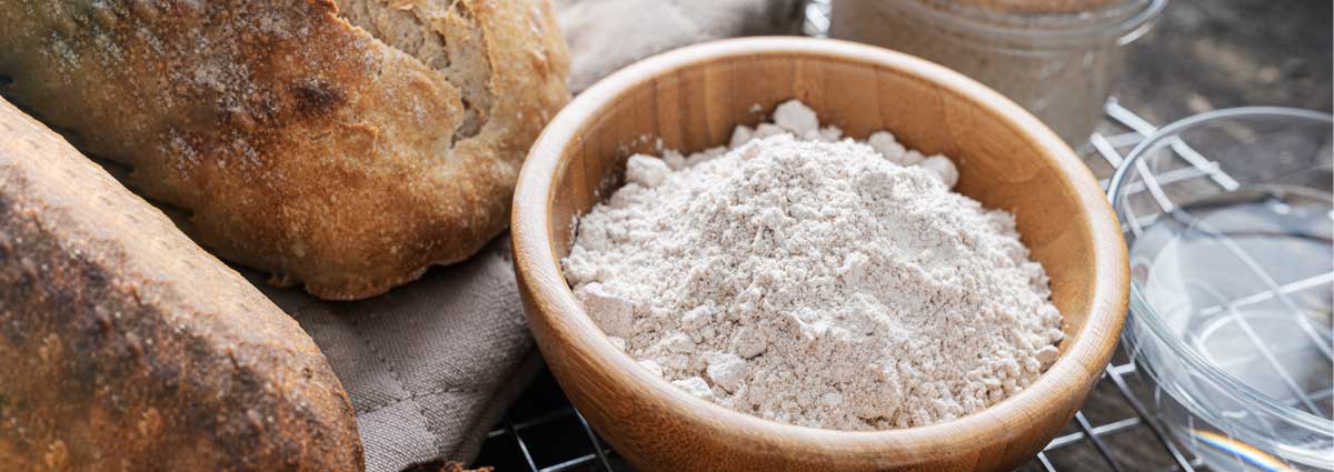 Farine de blé et pain de campagne