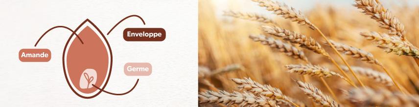 Par quoi remplacer la farine de blé ? - chronodrive