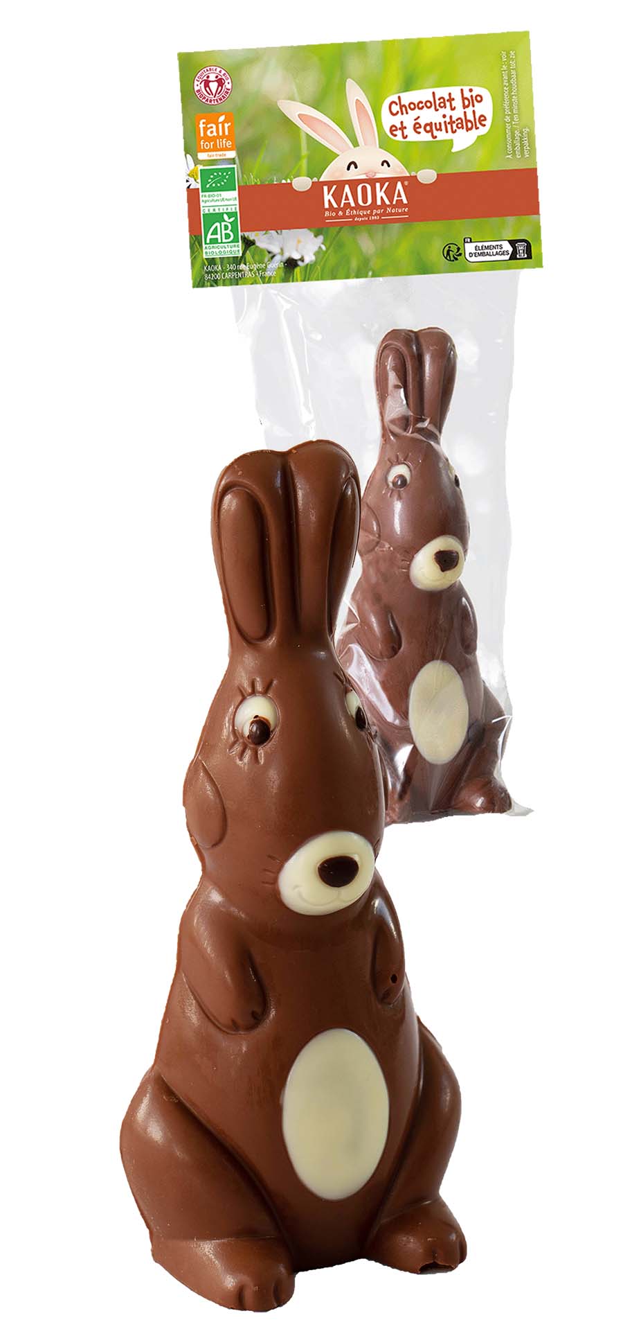 Moulage de Pâques Lapin Chocolat au lait