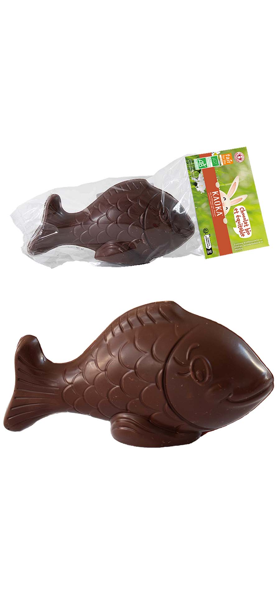 Moulage de Pâques Poisson Chocolat Noir