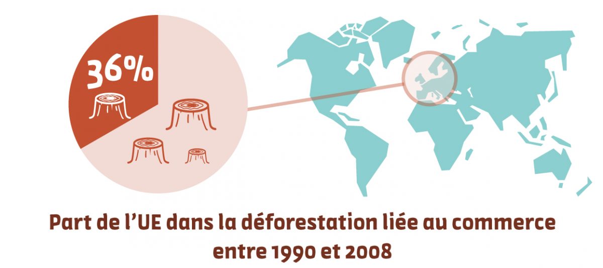 graphique-part-union-europeenne-deforestation-importée-entre-1990-2018