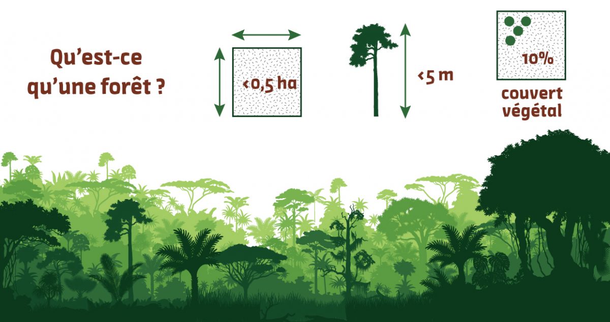 Diagram-definition-forest-FAO-area-height-trees-cover-vegetation