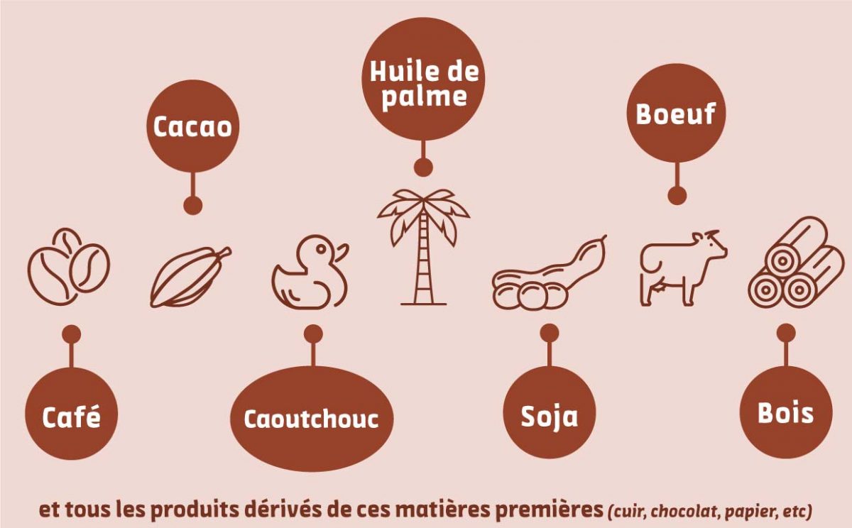 List of prohibited-products-regulation-imported-deforestation-coffee-cacao-rubber-palm-oil-soya-beef-wood