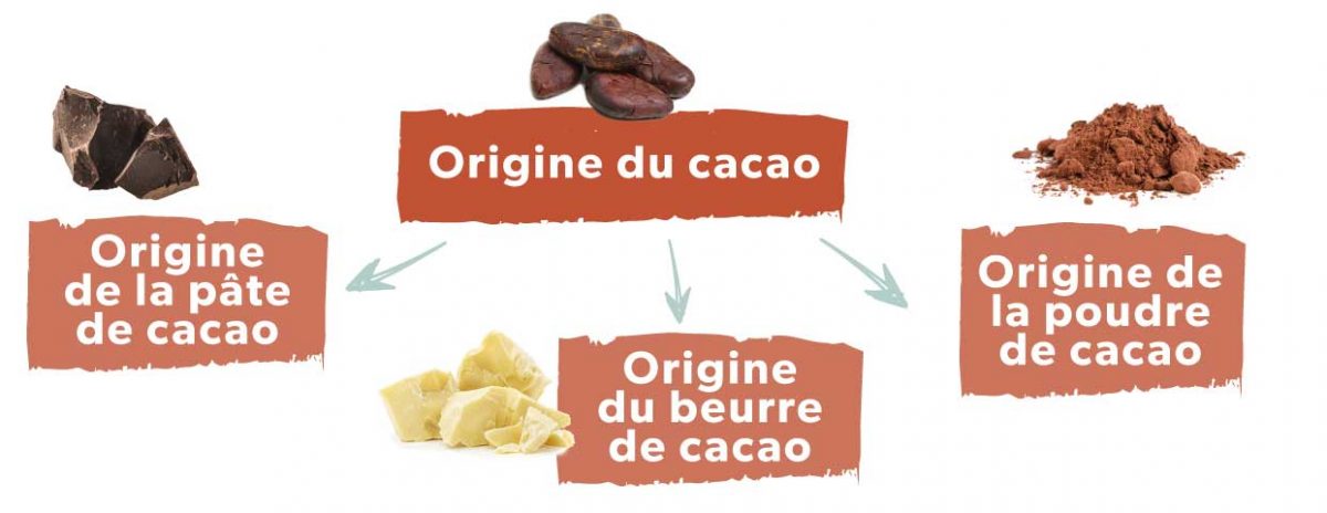 Schéma sur origine du cacao, de la pâte de cacao, du beurre de cacao et de la poudre de cacao