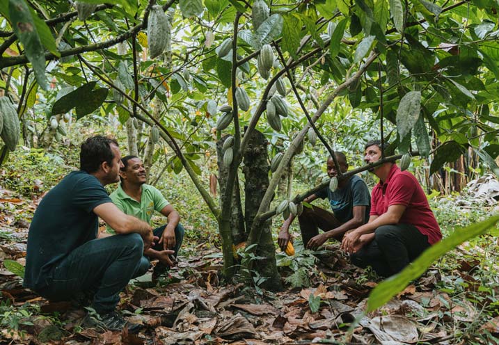 Membres de l'équipe Kaoka et producteurs partenaires dans une plantation de cacao à Sao Tomé