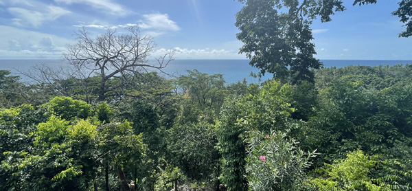 Vue depuis une plantation à Sao Tomé