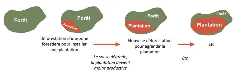 Diagram of a pioneer front