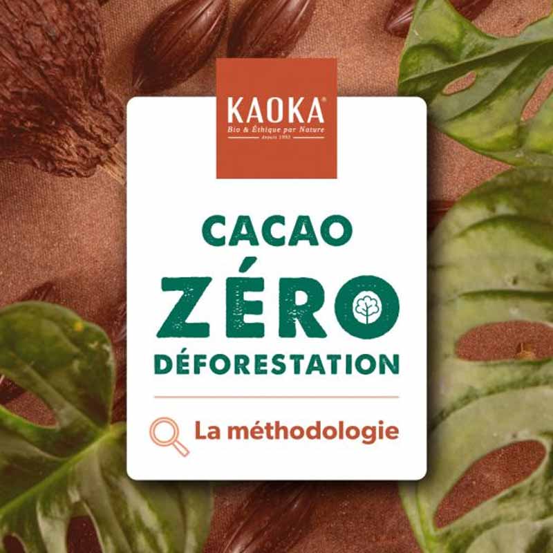 Article : Cacao Zéro Déforestation, comment Kaoka vous le garantit ?