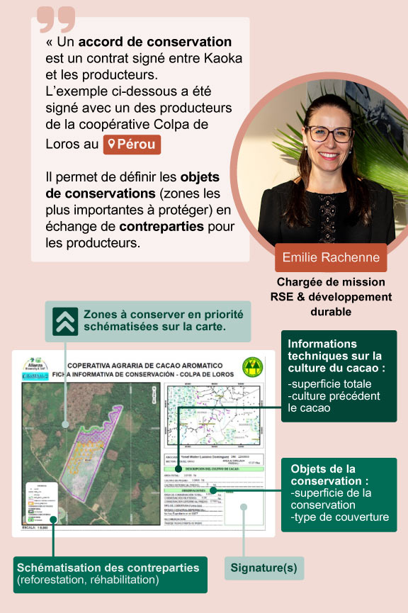 Quote Emilie Rachenne