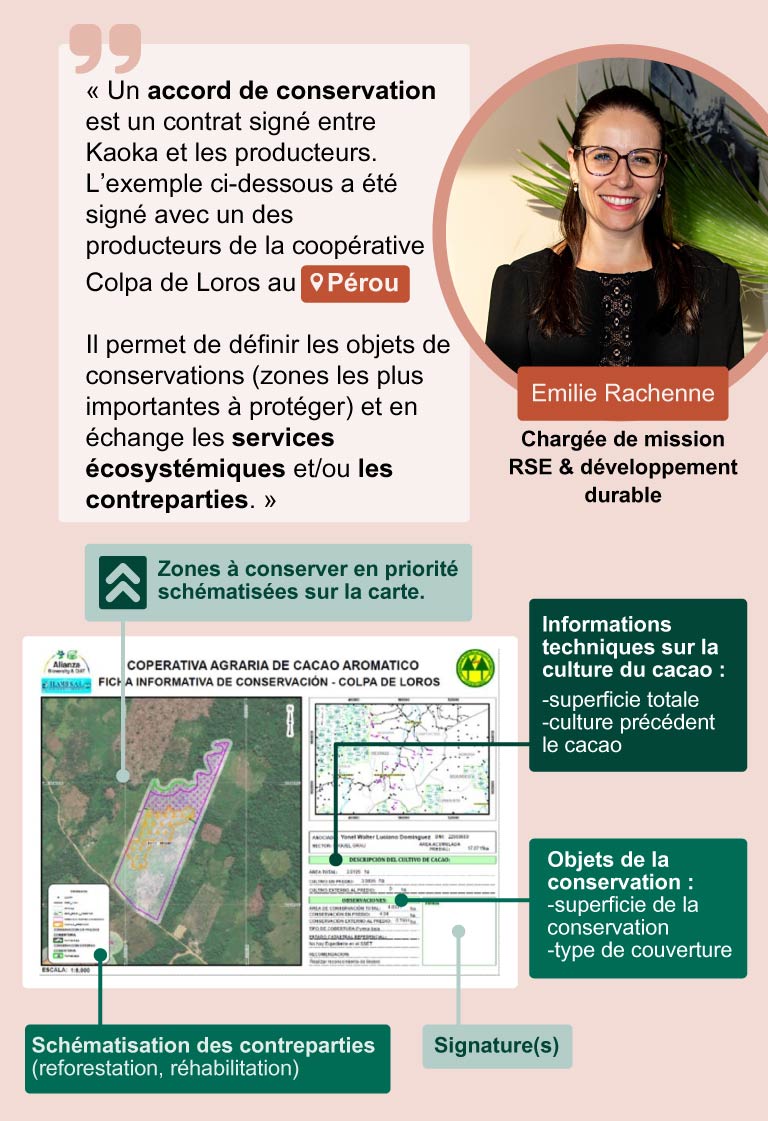 Citation d'Emilie Rachenne