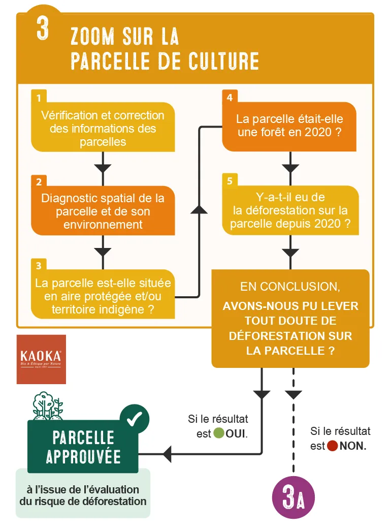Étape 3 - Zoom sur la parcelle de culture