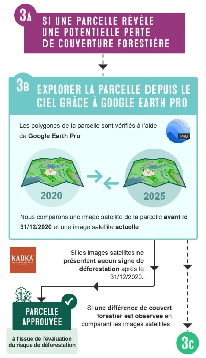 Étape 3B - Explorer la parcelle depuis le ciel grâce à Google Earth Pro