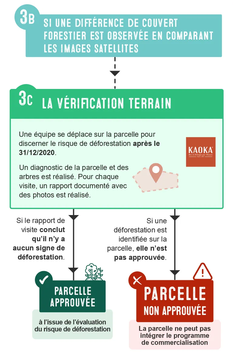 Étape 3C - À la recherche d’indices : La vérification terrain