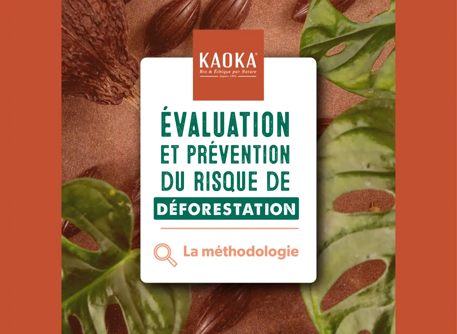 Évaluation et prévention du risque de déforestation, la méthodologie de Kaoka