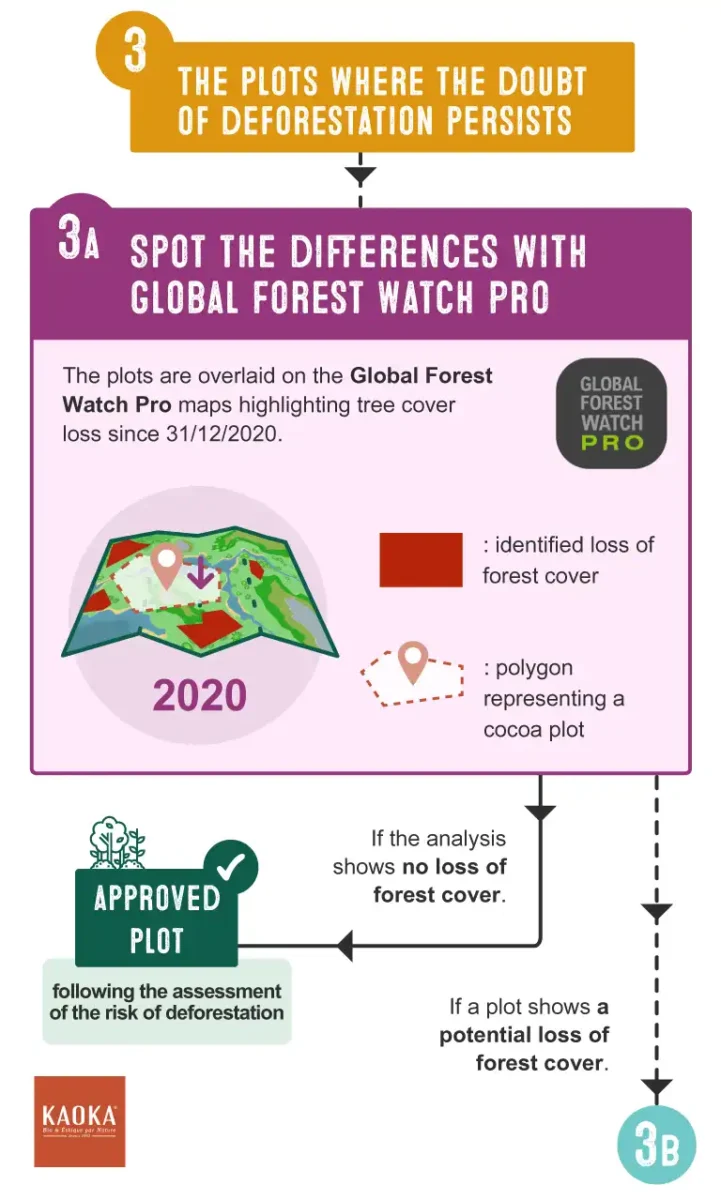 Step 3A - Spot the differences with Global Forest Watch Pro