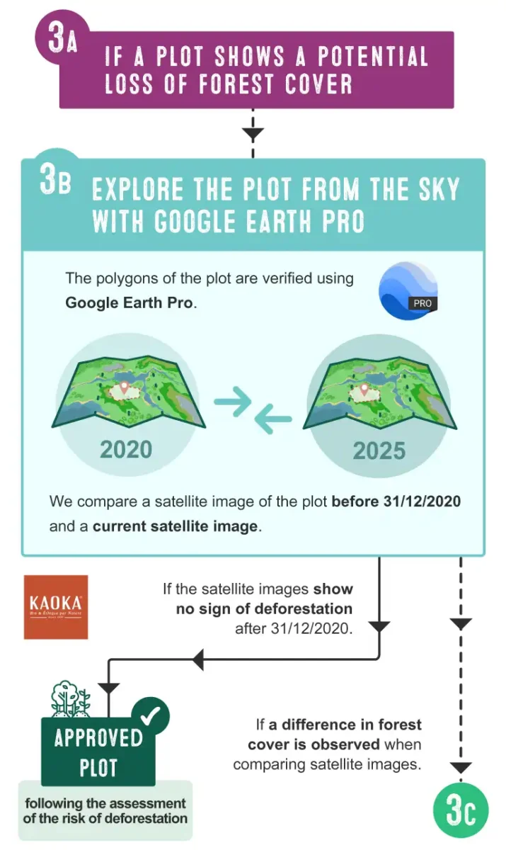 Step 3B - Explore the plot from the sky with Google Earth Pro