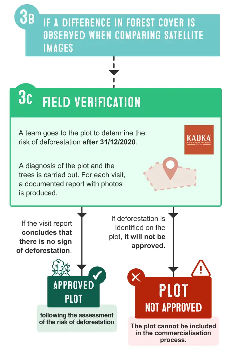 Step 3C - Field Verification