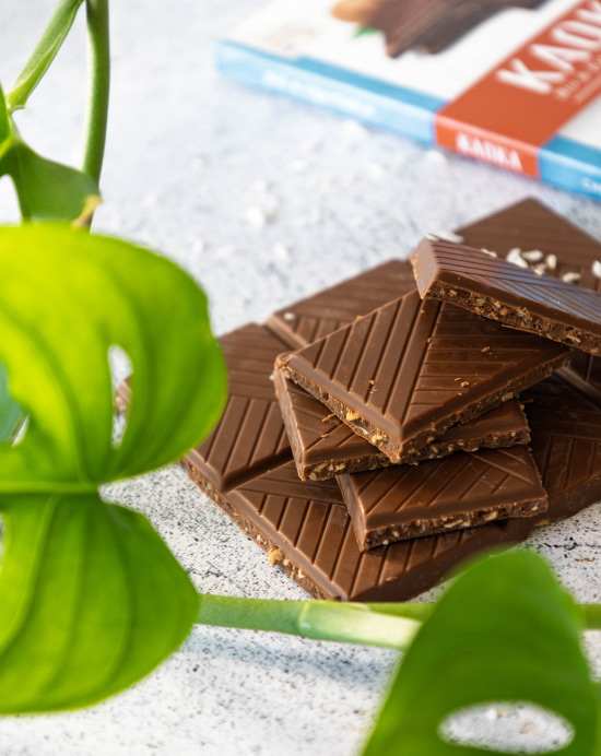 Tablette de la marque Kaoka avec des carreaux de chocolat au lait à la noix de coco près de belles feuilles vertes