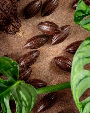 Petite cabosses de chocolat noir à croquer ou à fondre de la marque bio et équitable et Kaoka