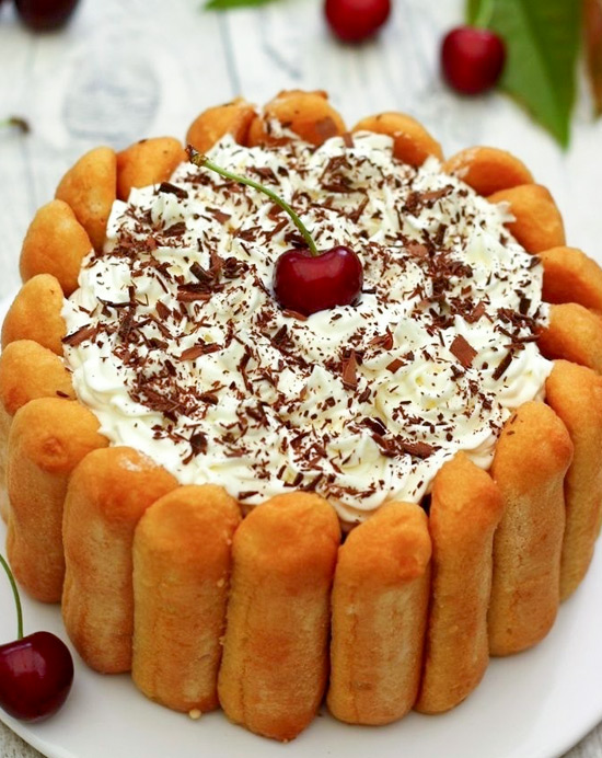 Recette de Charlotte au chocolat et aux cerises façon Forêt Noire