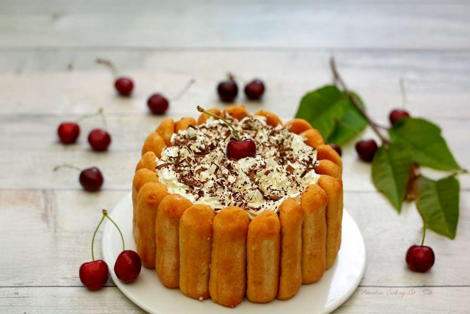 Recette de Charlotte au chocolat et aux cerises façon Forêt Noire