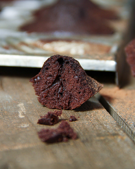 Recette de madeleines au cacao