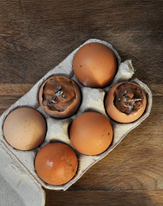 Recette de mousse au chocolat aux éclats de fèves de cacao caramélisés